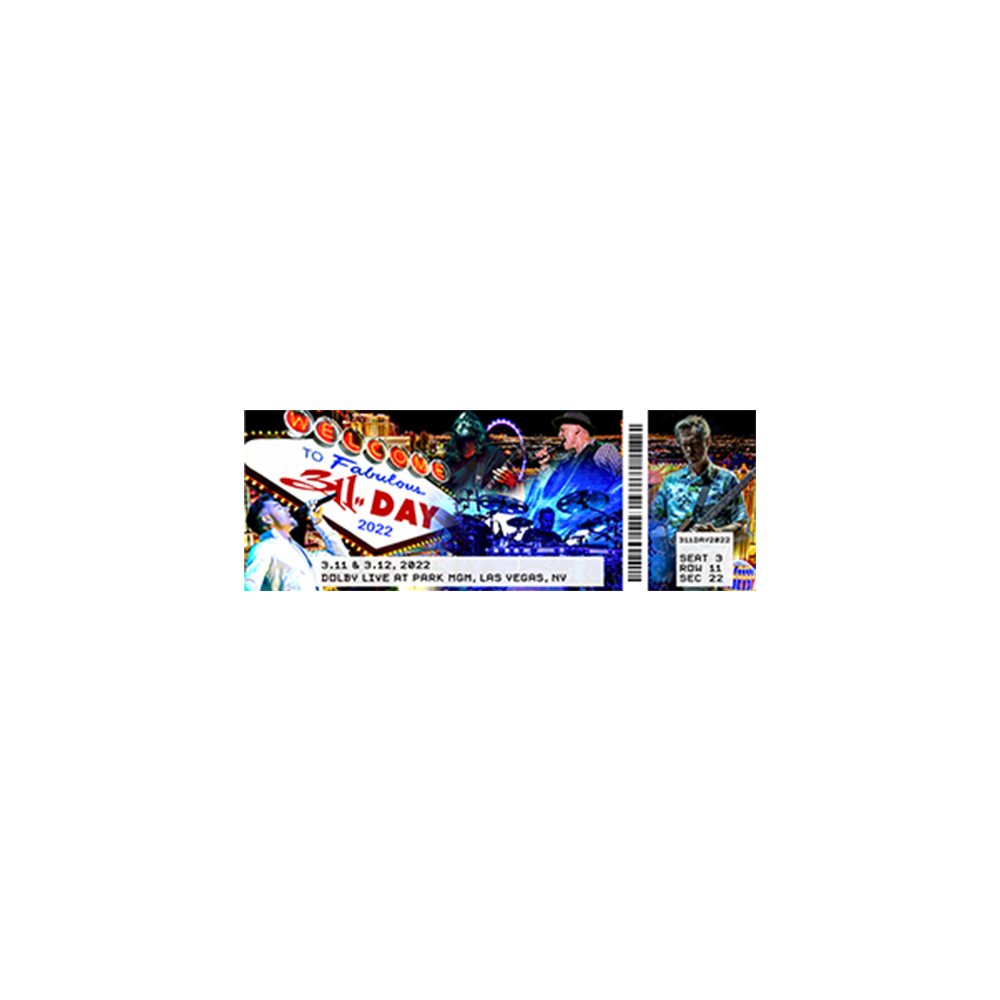 311 Day Ticket Magnet