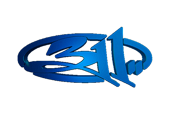 311 Official Store