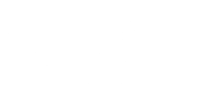 311 Official Store logo