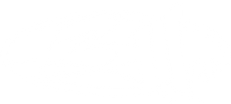 311 Official Store mobile logo