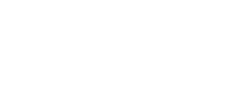 311 Official Store
